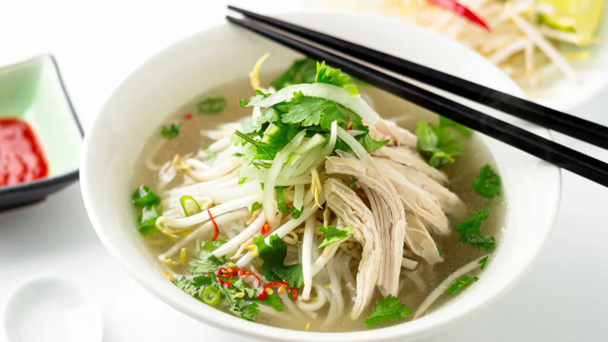 Vietnamese chicken pho noodle soup bowl.